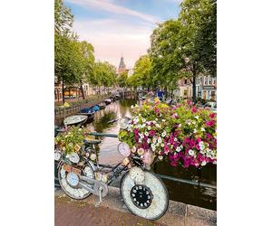 Ravensburger 12000780 - Bicycle and Flowers in Amsterdam - 1000 pieces jigsaw puzzle - Puzzle for adults and kids age 14 years up, jigsaw puzzle Amsterdam
