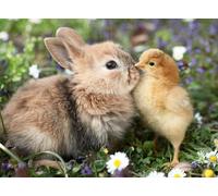 Ravensburger - 500 piece puzzle - Rabbit and Chick (Baby Animal Collection) - Adults and Children from 12 years old - High quality puzzle - 12001900