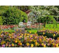Ravensburger Beautiful Gardens Netherlands 1000 Piece Jigsaw Puzzles for Adults and Kids Age 12 Years Up