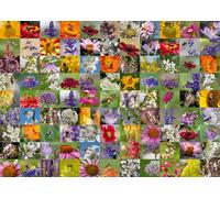 Ravensburger Bee Collage 1000 Piece Jigsaw Puzzles for Adults and Kids Age 12 Years Up