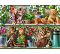 Ravensburger Jigsaw Puzzle - Cats on the Shelf - 500 Pieces - Adults & Kids 10+