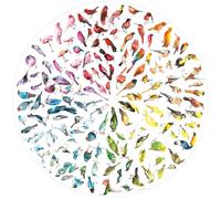 Ravensburger Circle of Colours Bird Colour Wheel 500 Piece Circular Jigsaw puzzle - Jim Moir Artwork, Colourful Bird Design, Adult Puzzle, Gift Idea, Round Puzzle
