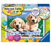 Ravensburger CreArt 27839 - Cute Dog Puppies - Painting by Numbers Dogs for Children from 7 Years, Painting Set with Frame, Brush and Acrylic Paints, Gift for Girls and Boys