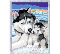 Ravensburger CreArt 28479 - Husky Kiss - Painting by Numbers Dog for Children from 7 Years