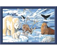 Ravensburger CreArt 28909 - Animals of the Arctic - Painting by Numbers for Children from 11 Years, Painting Set with Frame, Brush and Acrylic Paints, Gift for Girls and Boys