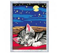 Ravensburger Creart D Series Dreamy Cat