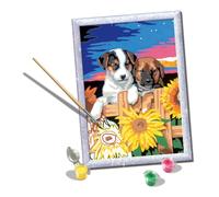 Ravensburger - CreArt D Series, Puppies with Sunflowers, Painting by Numbers, Painting by Numbers Kit, Animal Theme, Frame Included, Educational Game, Gift Idea Children 9+ Years, 26 x 20 cm