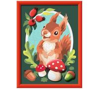 Ravensburger - CreArt Series D - Squirrel with Plaster 3D | Paint by Numbers | Paint Kit | Measures 25 x 18,30 | Games for Children 9 Years | Gift Ideas | Child Gift 9 Years