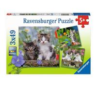 Ravensburger Cuddly Kittens 3 x 49 Piece Jigsaw Puzzle Set for Kids - 08046 - Every Piece is Unique Pieces Fit Together Perfectly