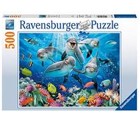 Dolphins in the Coral Reef
