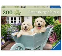 Wellness & Puzzle - Golden Retriever