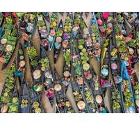 Ravensburger Floating Market Indonesia 500 Piece Jigsaw Puzzle | Colourful Photographic Travel Puzzle for Adults & Teens
