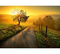 Ravensburger Golden Sunrise (Amazon Exclusive) 1000 Piece Jigsaw Puzzles for Adults & Kids Age 14 Years Up - Landscape Puzzle