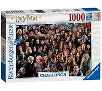 Challenge - Harry Potter 1000pc Jigsaw