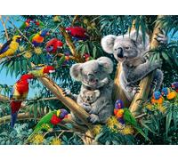 Koalas in The tree