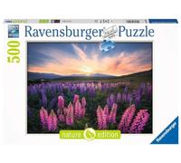 Nature Edition - Lupins