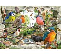 Our Feathered Friends Puzzle 1000 Piece Ravensburger Birds Puzzle 12+