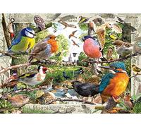 Ravensburger Our Feathered Friends 1000 Piece Jigsaw Puzzles for Adults and Kids Age 12 Years Up