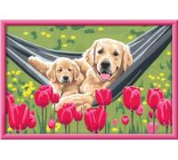 Ravensburger Paint by Numbers 20164 MnZ Children