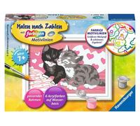 Ravensburger Malen nach Zahlen 28467 - Kuschelkatzen - Malen nach Za (US IMPORT)
