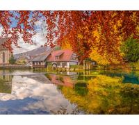 Ravensburger 13672Â â€“Â Mill on the Blue Pot Jigsaw Puzzle 500Â Pieces Gold Edition