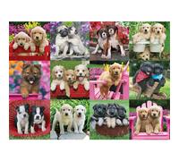 Ravensburger Puppy Pals 500 Piece Jigsaw Puzzle for Adults - 12000196 - Handcrafted Tooling Made in Germany Every Piece Fits Together Perfectly