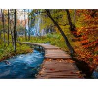 Ravensburger Puzzle 12001764 - Herbstlicher Waldweg, Beautiful Walkways Collection, 1000 Teile Foto-Puzzle für Naturliebhaber und Wanderfreunde ab 14 Jahren: Beautiful Walkways