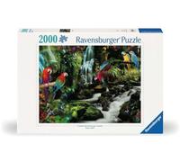 Parrots in the Jungle