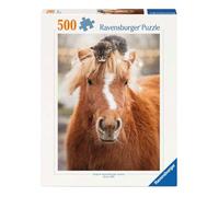 Ravensburger - Puzzle 500 Pieces Kitten and Horse, Adult Puzzle 49 x 36 cm | Puzzle 500 pieces, 49 x 36 cm, for adults from 14 years, 500 pieces collection and ideal as an original gift idea.
