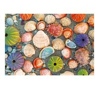 Ravensburger Puzzle Moment: by The Seashore 300 Piece Jigsaw Puzzle for Adults - 12001326 - Handcrafted Tooling Made in Germany Every Piece Fits Tog