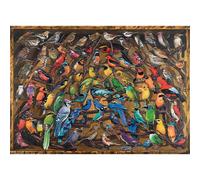 Ravensburger Rainbow of Birds 1000 Piece Jigsaw Puzzles for Adults and Kids Age 12 Years Up