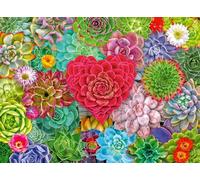 Ravensburger Succulent Love 500 Piece Jigsaw Puzzle for Adults and Kids Age 10 Years +