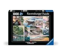 Ravensburger West Coast Tranquility 1000 Piece Jigsaw Puzzle for Adults - 12000631 - Handcrafted Tooling, Made in Germany, Every Piece Fits Together Perfectly