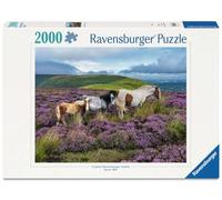 Ravensburger Wild Horses in the Heather 2000 Piece Jigsaw Puzzle - Premium Large Adult Puzzle with Countryside Horse Scene - Relaxing & Challenging for Adults