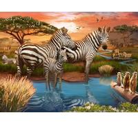 Zebras at the waterhole