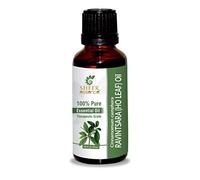 Ravintsara (Ho Leaf) Oil (Cinnamomum Camphora) Essential Oil 100% Pure Natural Undiluted Uncut Therapeutic Grade Oil 0.16 Fl.OZ