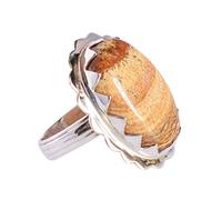 Ravishing Impressions Landscape Jasper Statement Ring White Rhodium Bezel Set Oval Cabochon 23x15mm Multicolor Gemstone Ring Bold Designer Jewelry Unique Gift for Women-O 1/2