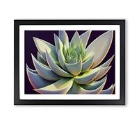 Ravishing Succulent Plant BLK Framed Wall Art Print A2 Black