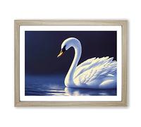 Ravishing Swan Framed Print | A2 Oak Framed Wall Art | Ready to Hang | Modern Animal Picture | Living Room Bedroom Lounge Office