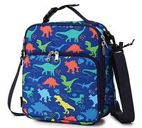 RAVUO Lunch Bag Box for Boys, Reusable Insulated Kids Lunch Box Toddler Lunch Cooler for Girls with Detachable Shoulder Strap Dinosaur