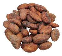 Raw Cacao Beans 85g - 1.95Kg Theobroma Cacao (85 gram)