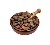 Raw Criollo Whole Cacao Beans 20g-4.9kg Theobroma Cacao (30 Grams)