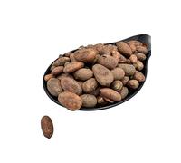 Raw Criollo Whole Cacao Beans 20g-4.9kg Theobroma Cacao (70 Grams)