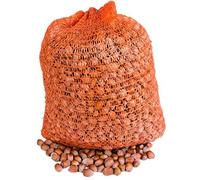 Raw Hazelnuts in Shell | 50 kg | from Poland | Premium | Fresh |
