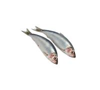 Raw Herrings for Dogs - 5kg Box of Raw and Fresh Dog Treats, and Food - Chilled Delivery - Ideal for Dog Training, Birthdays, and Daily Feeding