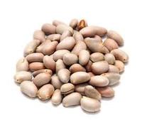 Raw Jackfruit Seeds, Dried Edible Kernels for Roasting and Cooking, Natural Protein-Rich Superfood (500 G)