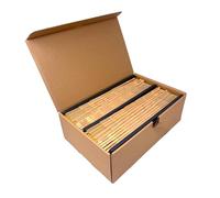 RAW Lean 800 Pack Slim Pre Rolled Rolling Paper Cones with Filler