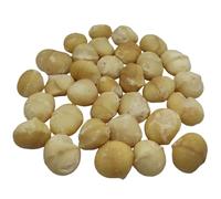 Raw Macadamia Nuts 40g - 1.95Kg Premium Quality (460 grams)