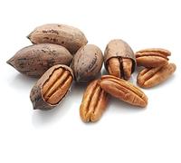 Raw Pecans in Shell, Natural Whole, Unsalted, Protein Keto Snacks, GMO Free, Gluten Free, Vegan, Essential Vitamins & Minerals, Nutrient Rich Healthy Food (5 KG)