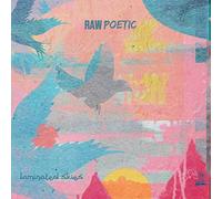 RAW POETIC AND DAMU THE FUDGEMUNK - LAMINATED SKIES